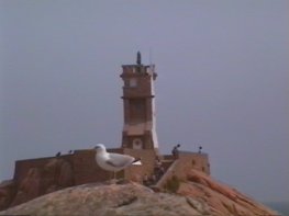 -ile de Brhat - Phare du paon.jpg (5789 octets)